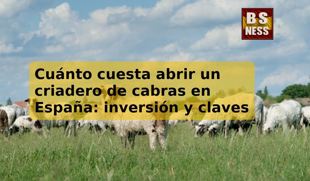 Cuánto cuesta abrir un criadero de cabras en España: inversión y claves
