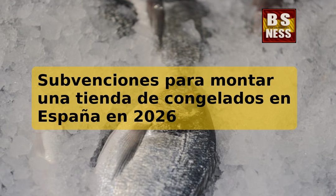 Subvenciones para montar una tienda de congelados en España en 2026